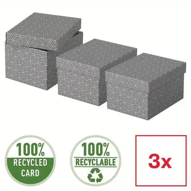 OPBERG EN GESCHENKDOOS ESSELTE