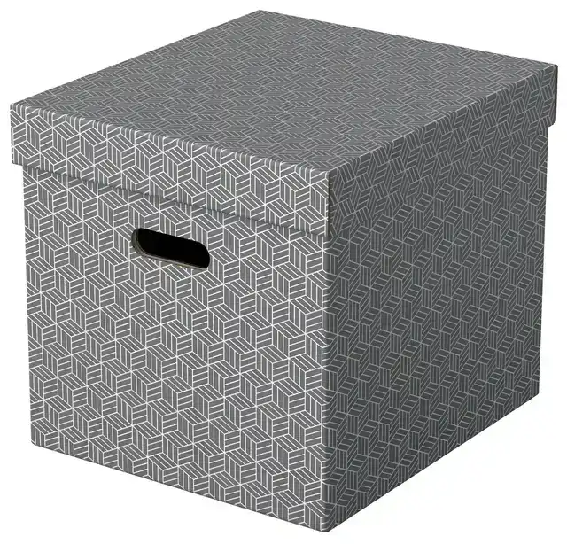 OPBERGDOOS ESSELTE 320X315X365MM GRIJS