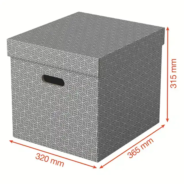 OPBERGDOOS ESSELTE 320X315X365MM GRIJS