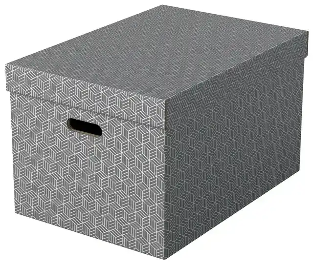 OPBERGDOOS ESSELTE 355X305X510MM GRIJS