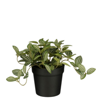 KUNSTPLANT MICA TRADESCANTIA IN POT
