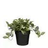 KUNSTPLANT MICA TRADESCANTIA IN POT