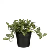 KUNSTPLANT MICA TRADESCANTIA IN POT