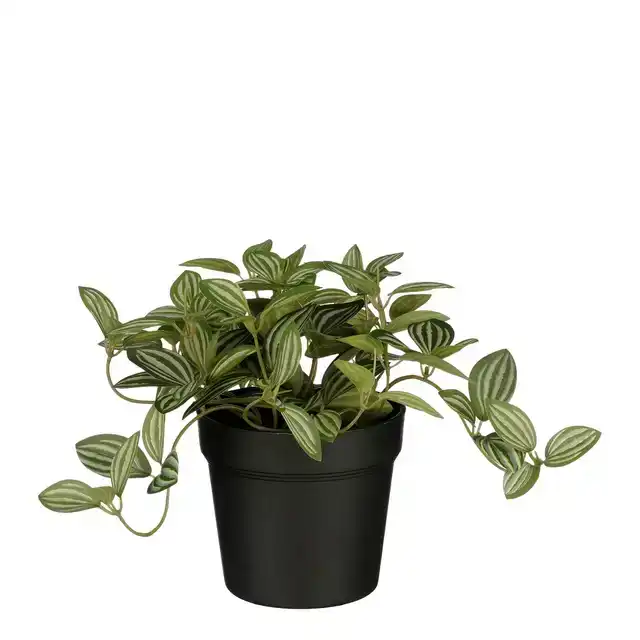 KUNSTPLANT MICA TRADESCANTIA IN POT