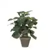 KUNSTPLANT MICA PILEA IN POT 35X25CM