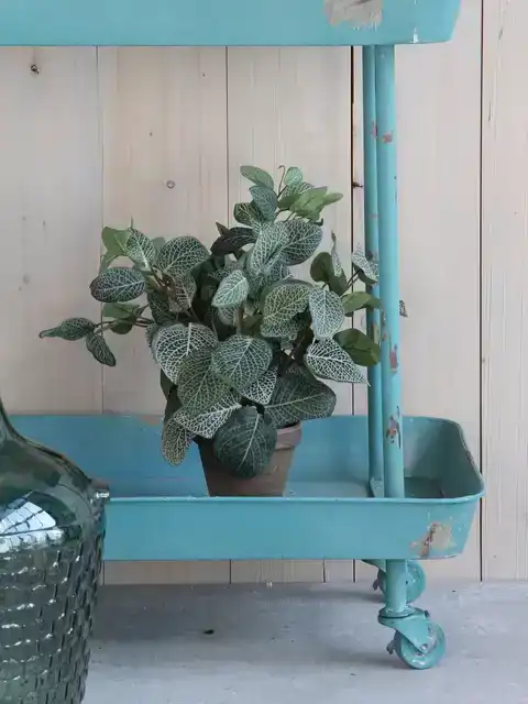 KUNSTPLANT MICA PILEA IN POT 35X25CM