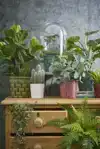 KUNSTPLANT MICA PILEA IN POT 35X25CM