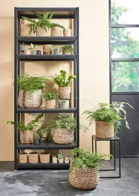 PLANTENMAND MICA AVALON ZEEGRAS 31X30CM