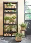 PLANTENMAND MICA AVALON ZEEGRAS ROND