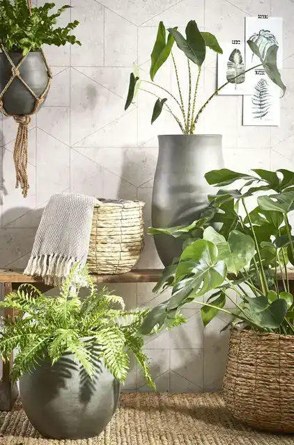 PLANTENMAND MICA AVALON ZEEGRAS 31X30CM