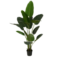 KUNSTPLANT MICA BANANEN BOOM IN POT