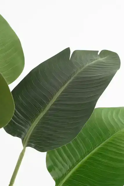 KUNSTPLANT MICA BANANEN BOOM IN POT