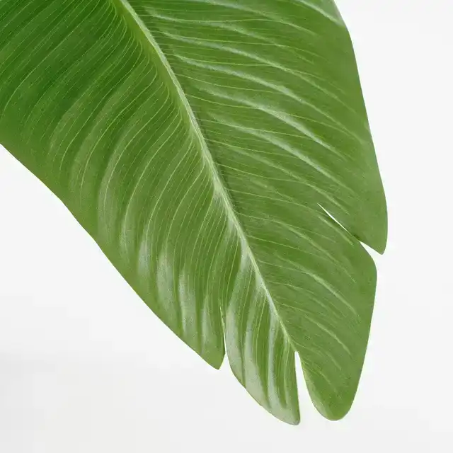 KUNSTPLANT MICA BANANEN BOOM IN POT