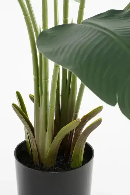 KUNSTPLANT MICA BANANEN BOOM IN POT