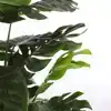 KUNSTPLANT MICA MONSTERA IN PLASTIC POT