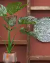 KUNSTPLANT MICA MONSTERA IN PLASTIC POT