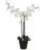 KUNSTPLANT MICA PHALAENOPSIS ORCHIDEE