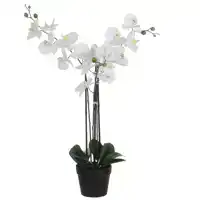 KUNSTPLANT MICA PHALAENOPSIS ORCHIDEE