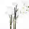 KUNSTPLANT MICA PHALAENOPSIS ORCHIDEE