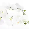 KUNSTPLANT MICA PHALAENOPSIS ORCHIDEE