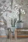 KUNSTPLANT MICA PHALAENOPSIS ORCHIDEE