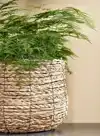 PLANTENMAND MICA AVALON ZEEGRAS 26X26CM