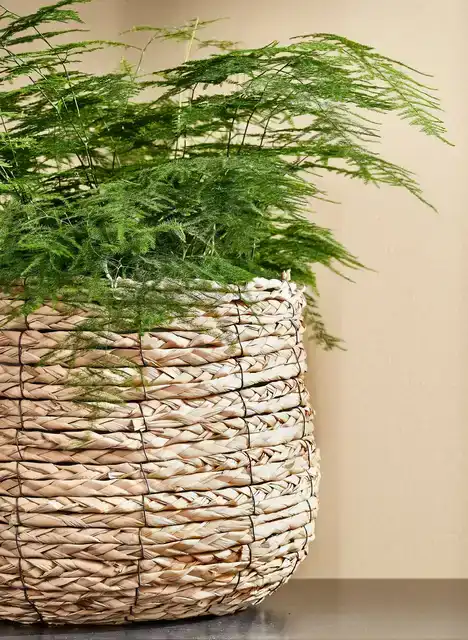 PLANTENMAND MICA AVALON ZEEGRAS 26X26CM