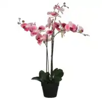 KUNSTPLANT MICA PHALAENOPSIS ORCHIDEE