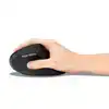 MUIS KENSINGTON EQ PRO FIT ERGO MY630