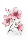 TEKENSET SAKURA CREATIVE KIT CHERRY