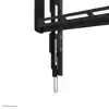 TV WANDSTEUN NEOMOUNTS 32-65 INCH