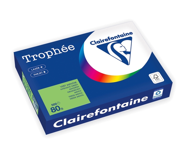 KOPIEERPAPIER TROPHEE A4 80GR GRASGROEN