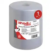 POETSROL WYPALL L20 325MMX190M 500VEL