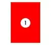 ETIKET RILLPRINT 210X297MM FLUORROOD