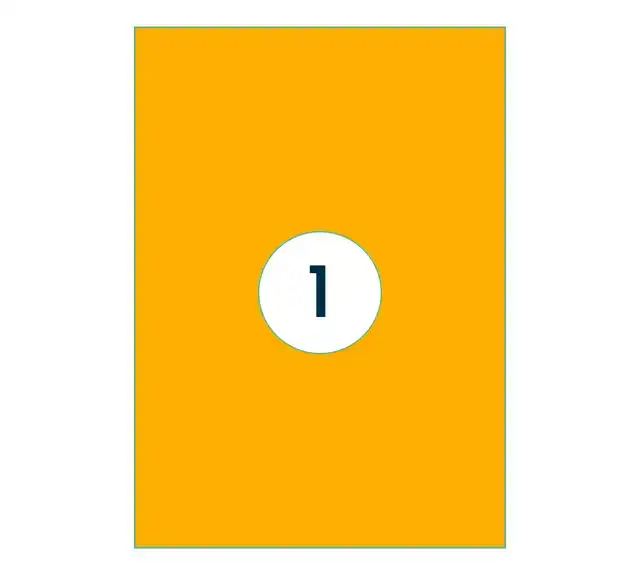 ETIKET RILLPRINT 210X297MM FLUOROR 100