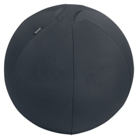 ACTIEVE ZITBAL LEITZ ERGO 55CM ANTI-ROL