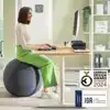 ACTIEVE ZITBAL LEITZ ERGO 55CM ANTI-ROL