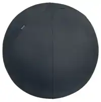 ACTIEVE ZITBAL LEITZ ERGO 65CM ANTI-ROL