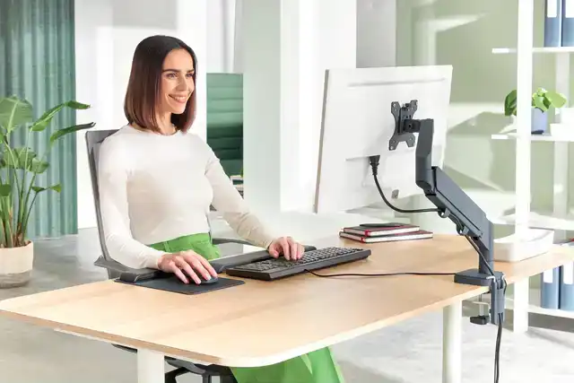 MONITORARM LEITZ ERGO RUIMTEBESPAREND