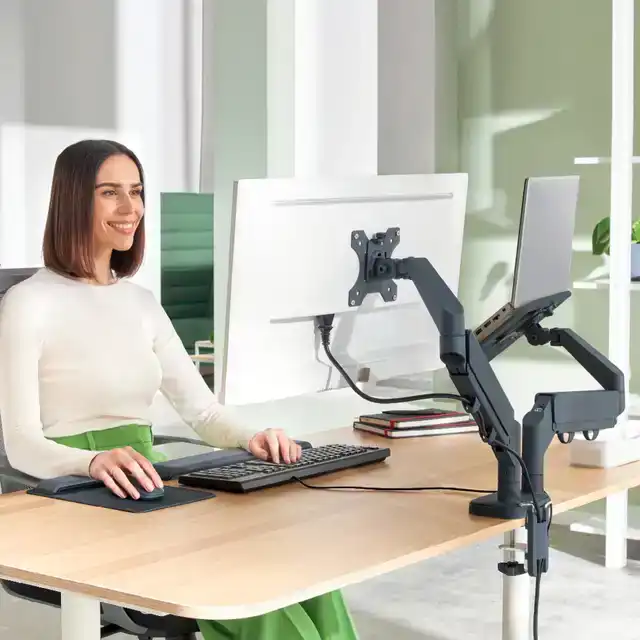 MONITOR EN LAPTOPARM LEITZ ERGO