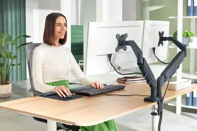 MONITORARM LEITZ ERGO RUIMTEBESPAREND
