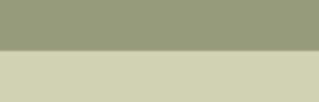 VULPEN STABILO FLOW BLISTER M KHAKI