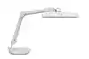 WERKPLEKLAMP MAUL INTRO LED DIMBAAR OP