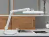 WERKPLEKLAMP MAUL INTRO LED DIMBAAR OP