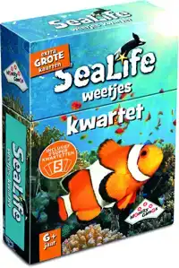 IDENTITY GAMES SEALIFE KWARTET