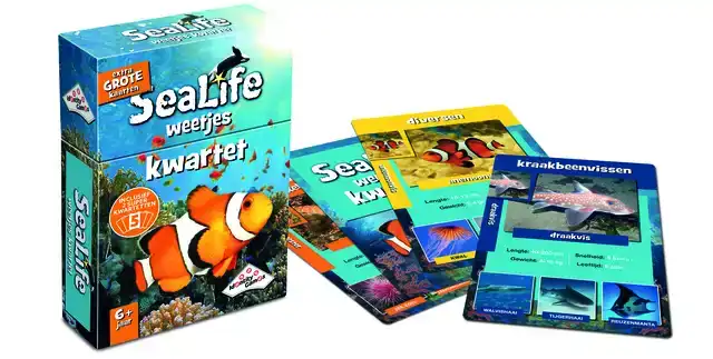 IDENTITY GAMES SEALIFE KWARTET