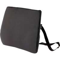 RUGKUSSEN FELLOWES BREYTA COMFORT ZWART