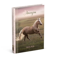 SCHOOLAGENDA 25-26 LANNOO HORSES