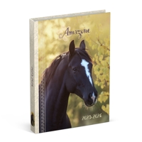 SCHOOLAGENDA 25-26 LANNOO HORSES