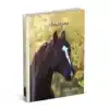 SCHOOLAGENDA 25-26 LANNOO HORSES